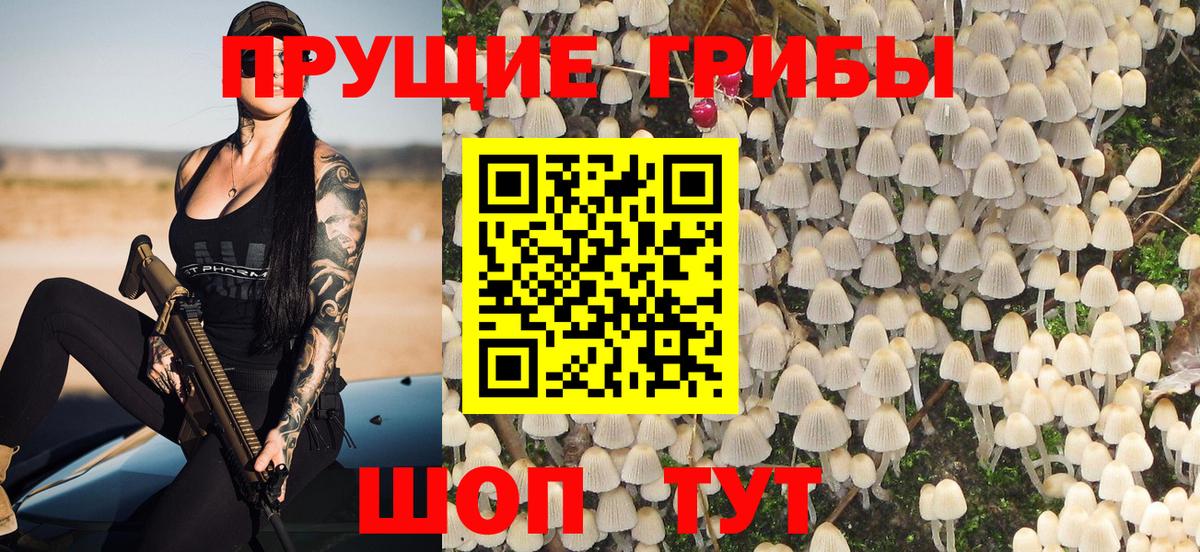 Псилоцибиновые грибы мицелий Узловая