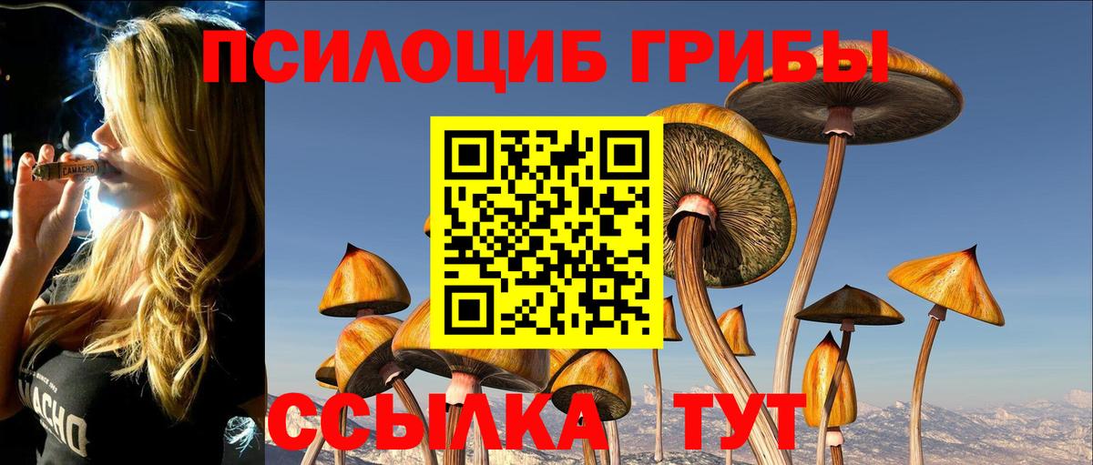 Узловая  Галлюциногенные грибы Magic Shrooms  Вход с VPN 